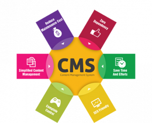 CMS Web Development