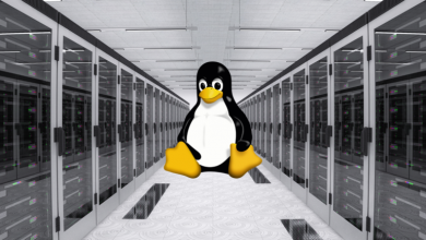 Linux Dedicated Server
