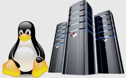 Reseller Web Hosting