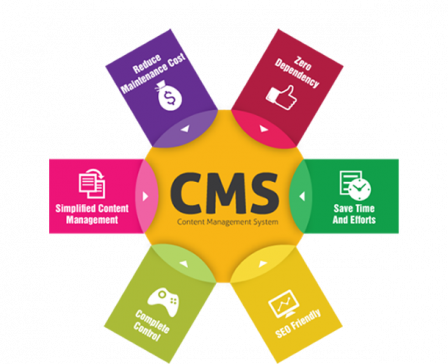 CMS Web Development